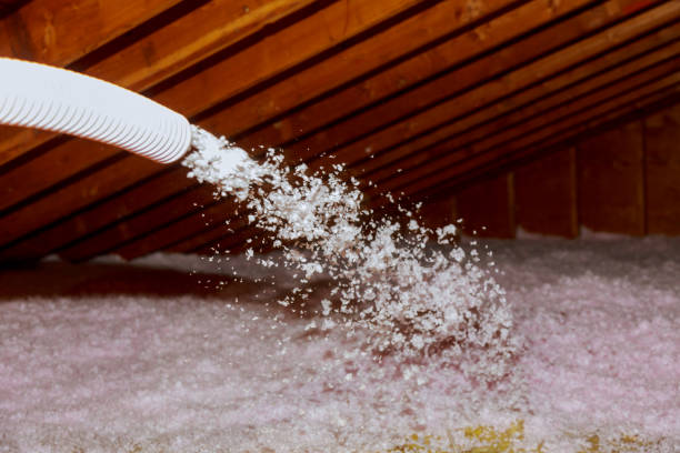 Best Energy Efficiency Solutions in Ames, TX