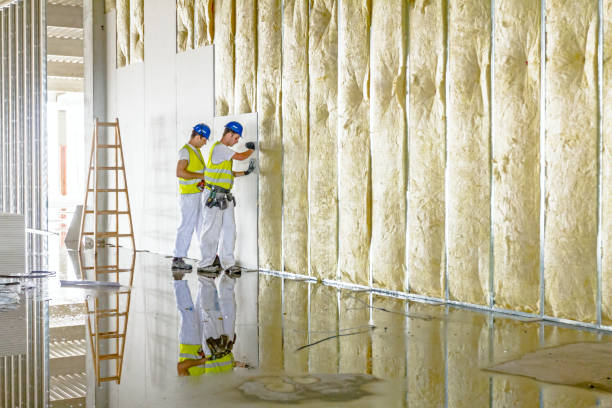 Best Specialty Insulation in Ames, TX